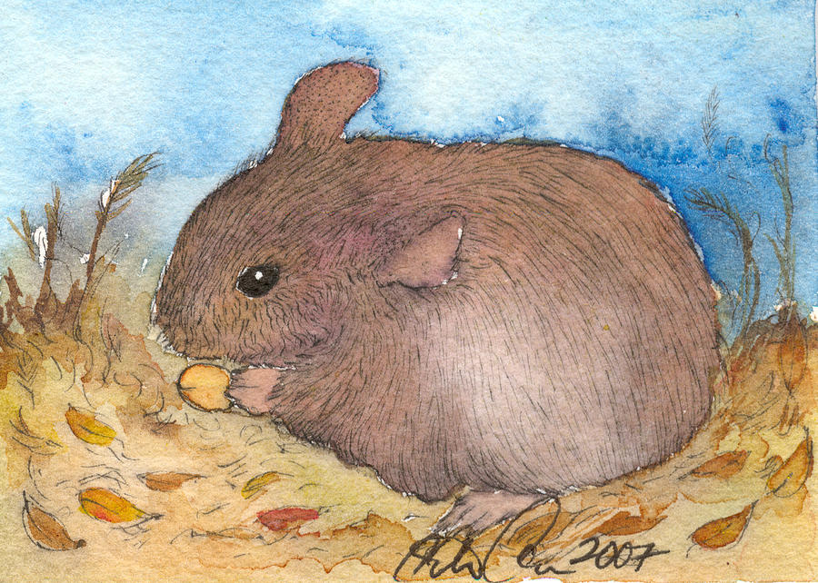Animal Painting - Mouse by Christine Callahan