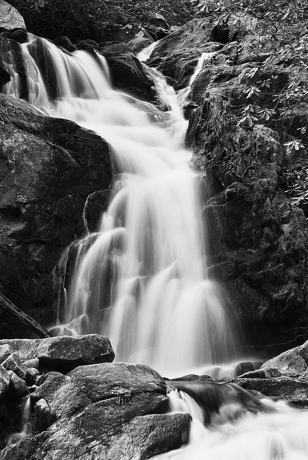 Waterfall Photograph - Mouse Creek Falls - Black and White by Photography  By Sai