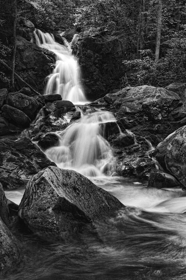 Mouse Creek Falls Photograph by Shari Jardina