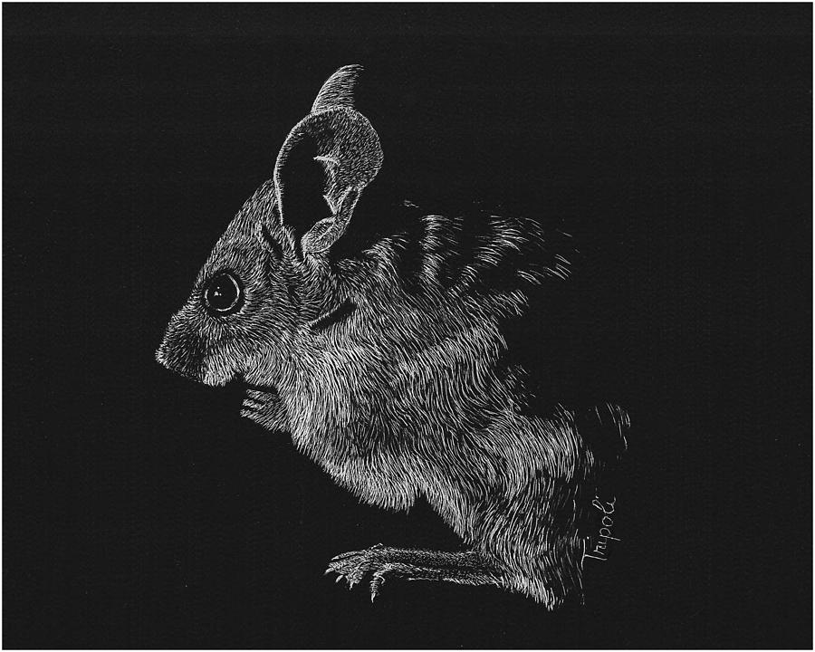 Mouse Drawing by Lawrence Tripoli