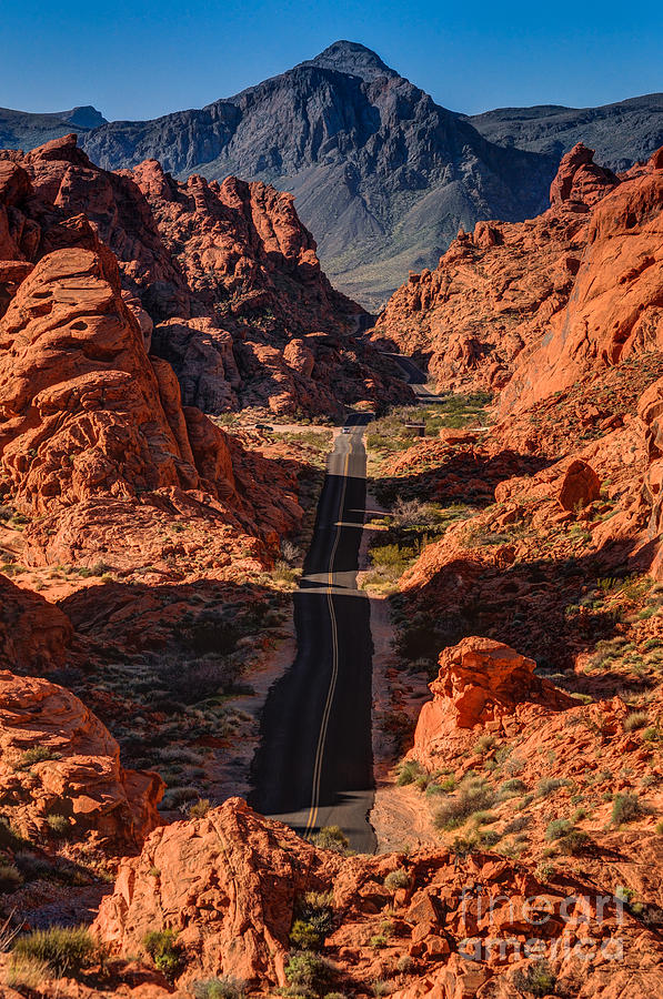 Mouses Tank Road - Valley of Fire - Nevada Photograph by Gary Whitton
