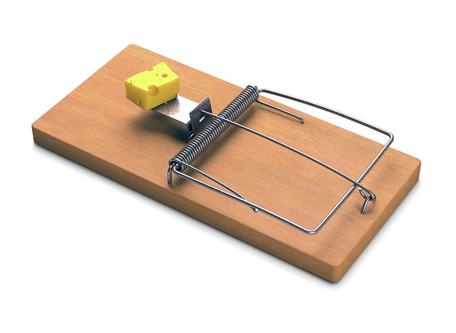 Mousetrap With Cheese by Ktsdesign