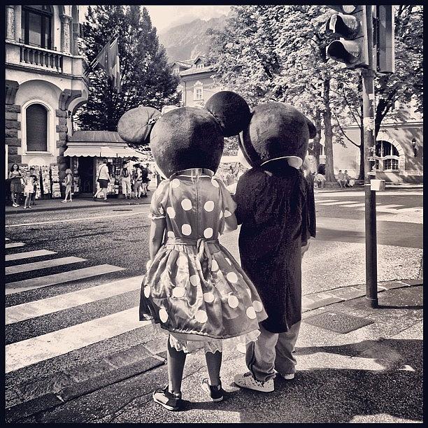 Disney Photograph - Mousing Around by Faye Sanna Disney Photograph - Mousing Around by Faye Sanna