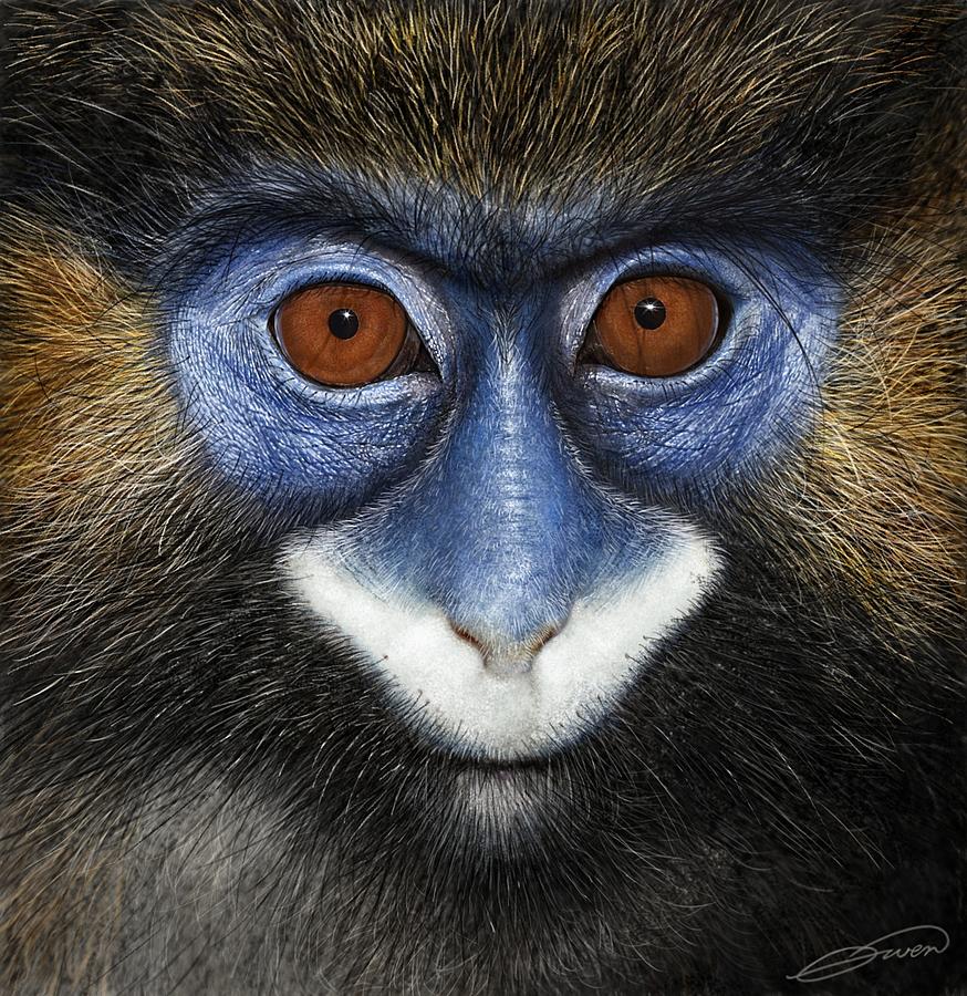 Moustached Guenon 2 Digital Art by Owen Bell