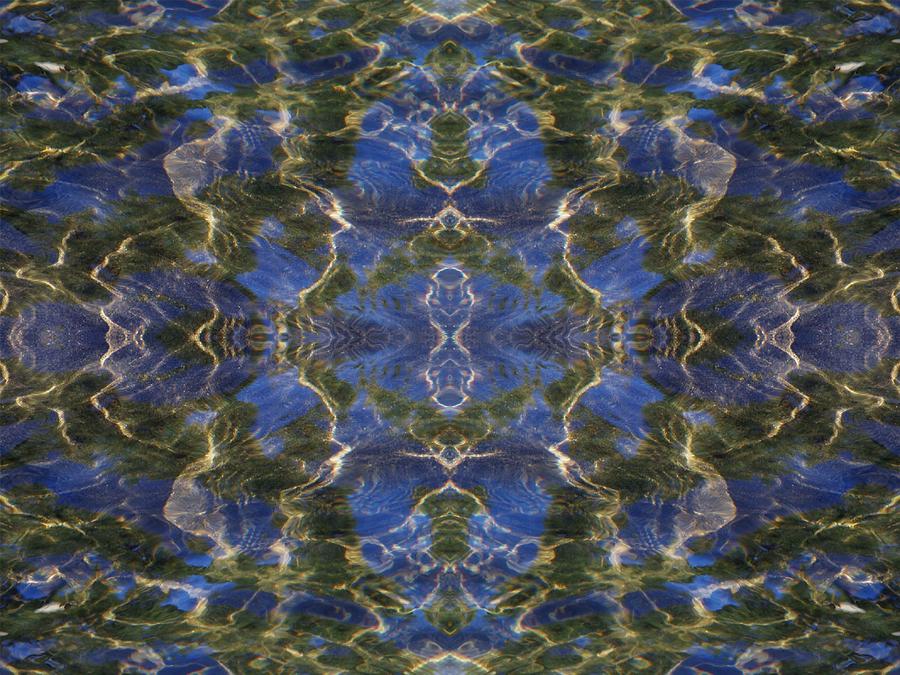 Movement Digital Art by Tatiacha Bhodsvatan Fine Art America