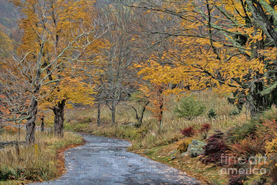 Fall Photograph - Moving On Down The Road by Deborah Benoit