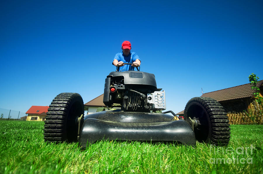 Mowing The Lawn Photograph