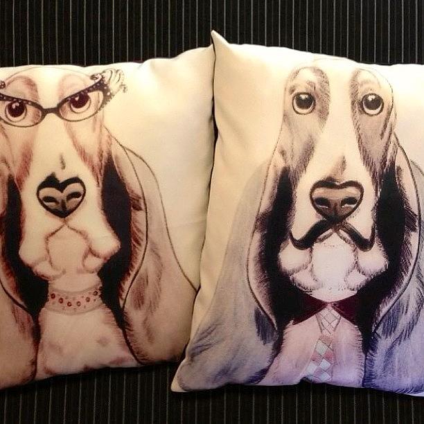 Basset Photograph - Mr & Mrs Basset ❤❤❤ Available by Avril O
