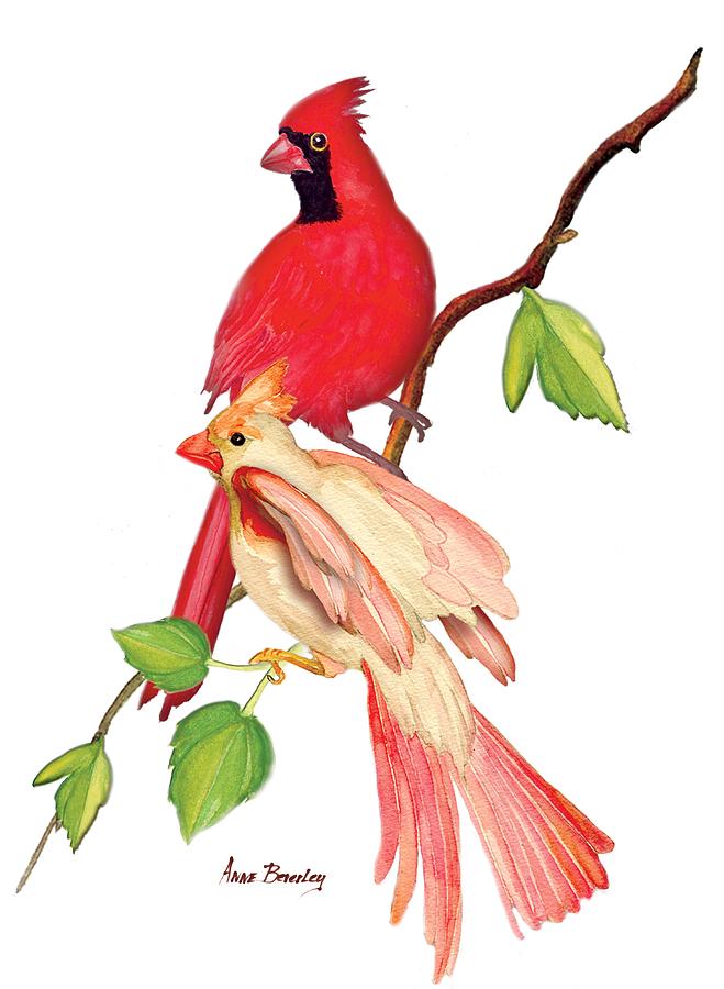 Bird Painting - Mr. and Mrs. Cardinal by Anne Beverley-Stamps