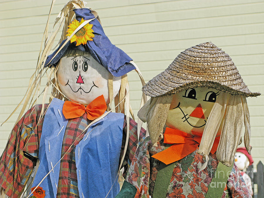 Mr and Mrs Scarecrow Photograph by Ann Horn