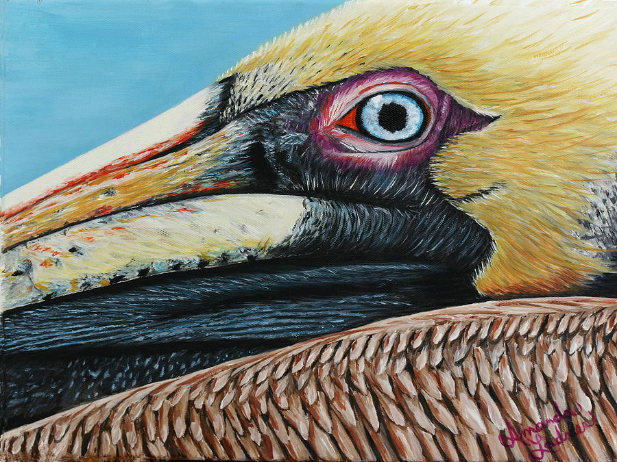 Pelican Painting - Mr. Blue Eyes by Amanda Ladner