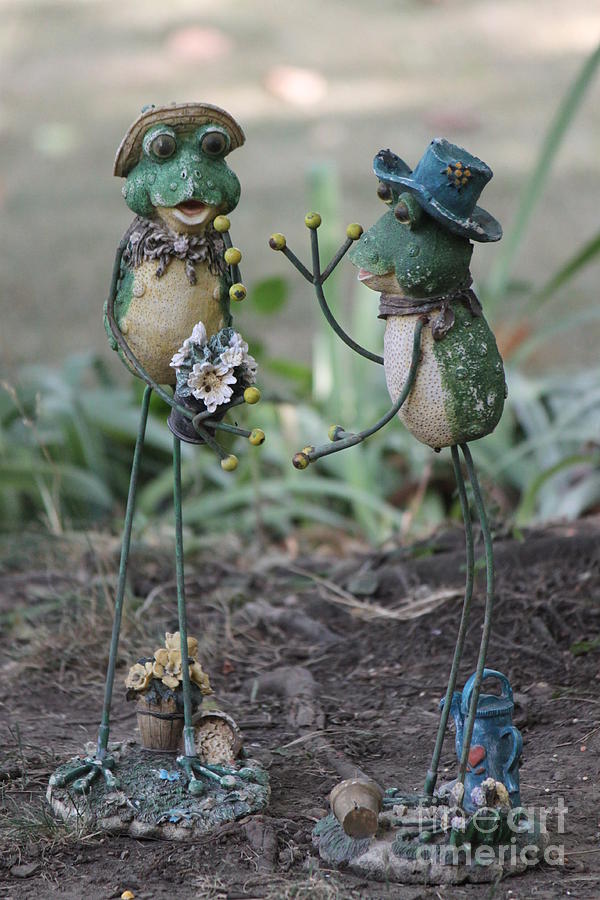 Mr. Frog went a courten Photograph by Jennifer E Doll