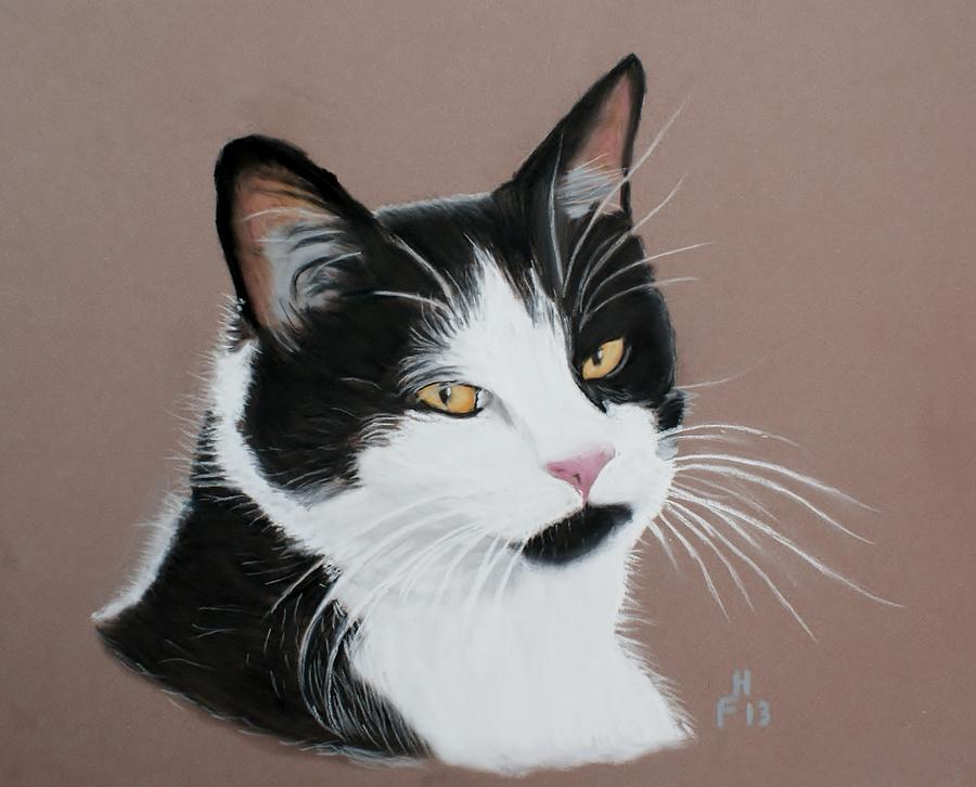 Mr Jinx by Frank Hamilton Mr Jinx by Frank Hamilton