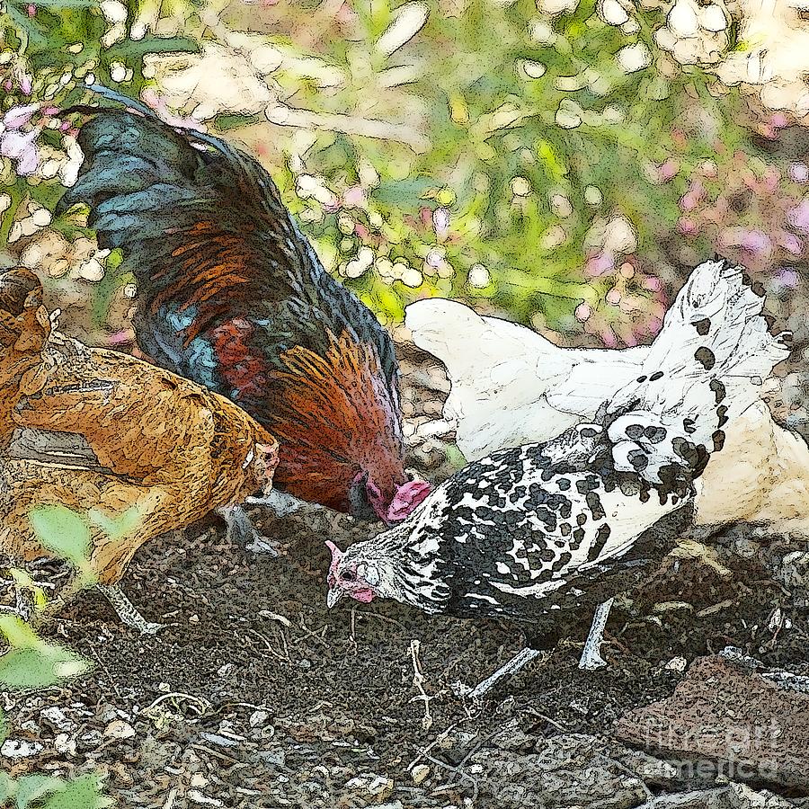 Mr. Rooster and All the Chickens Scratching for a Snack Painting by Artist and Photographer Laura Wrede