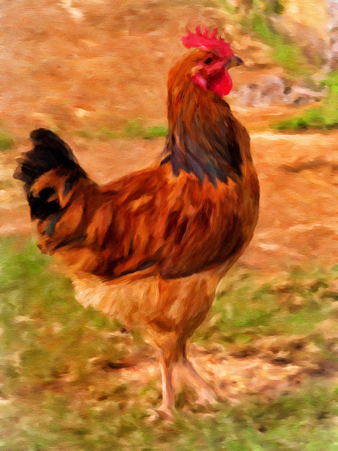 Mr. Rooster Painting by Michael Pickett