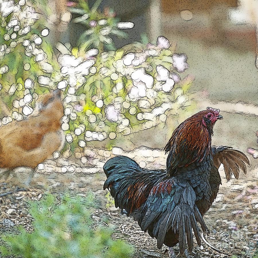 Mr. Rooster Struts Digital Art by Artist and Photographer Laura Wrede