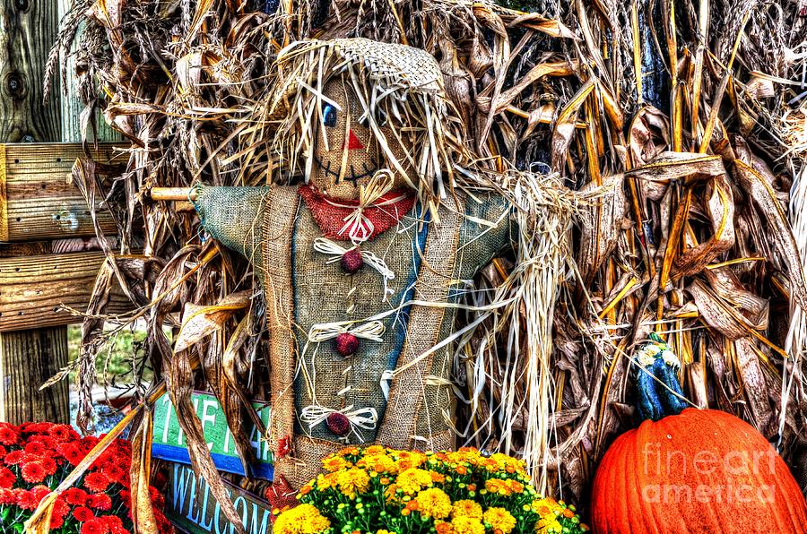 Mr. Scarecrow Photograph by Paul Mashburn