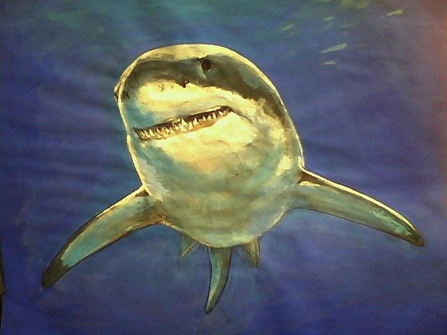 Great White Shark Painting - Mr White in a different light by Maria Elena Gonzalez