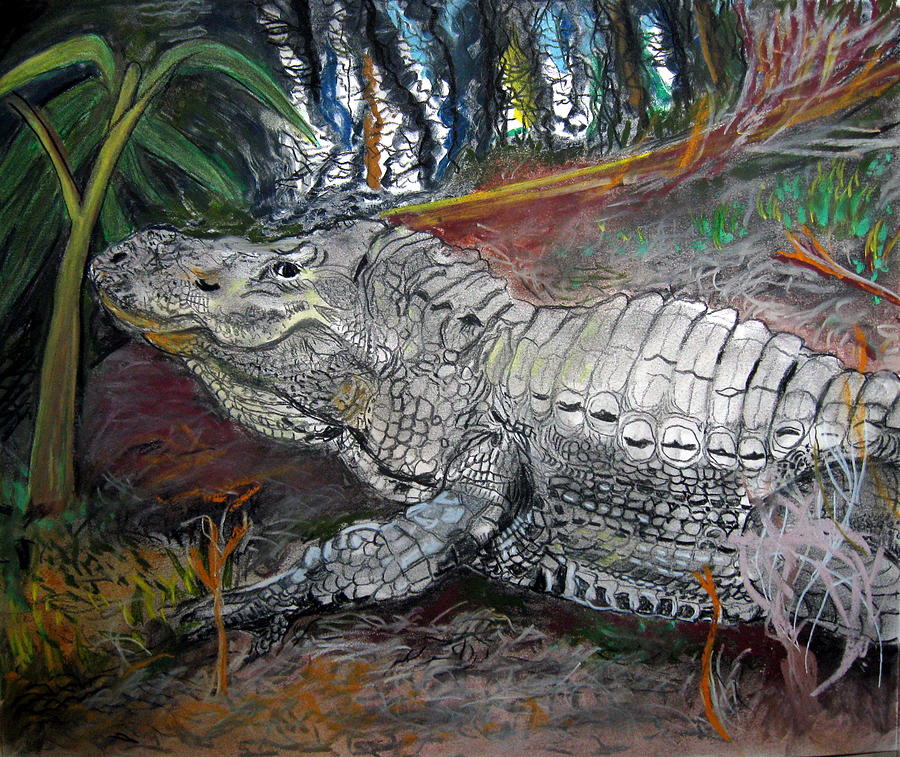 Wildlife Pastel - Mr.Alligator by Mike Benton