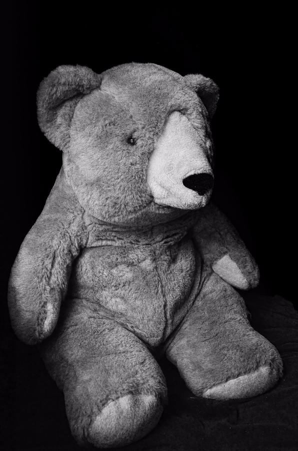 Mr.bear ...stuffed animal Photograph by Tom Druin