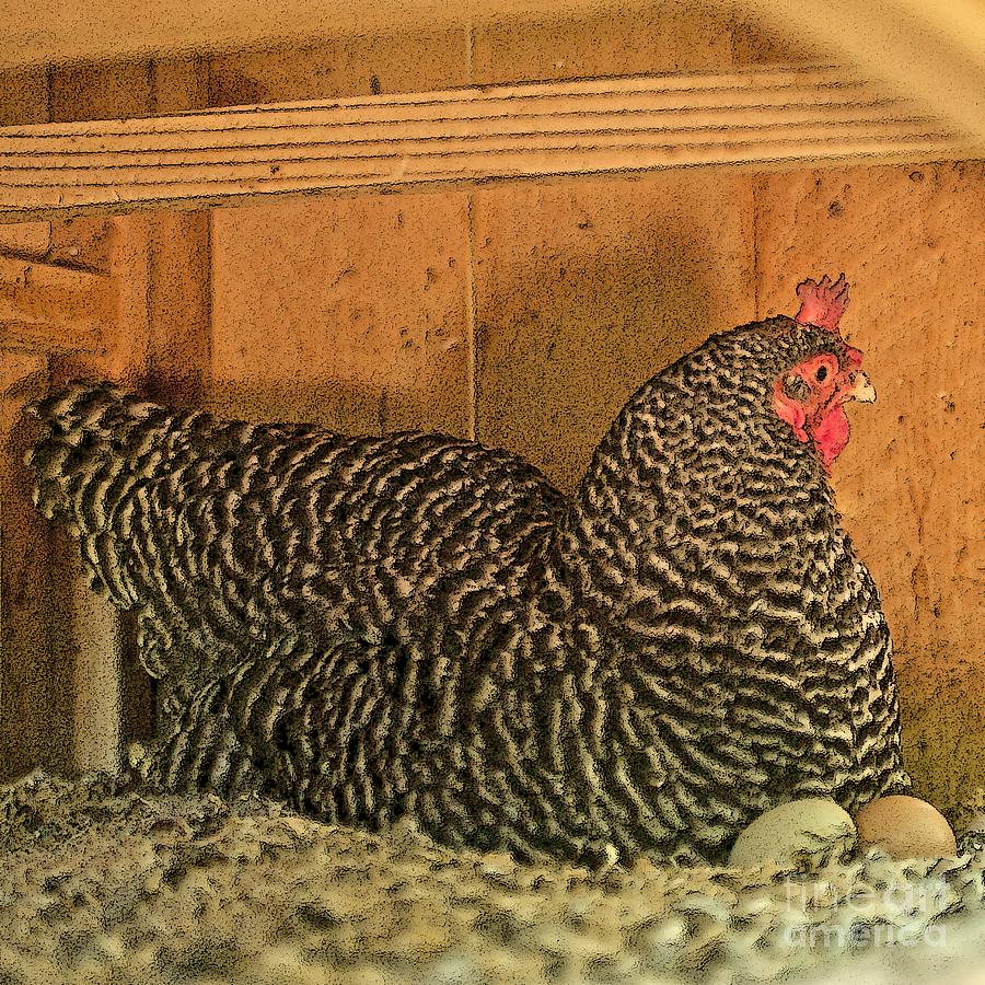 Mrs. Chicken Laying on Her Nest Painting by Artist and Photographer Laura Wrede