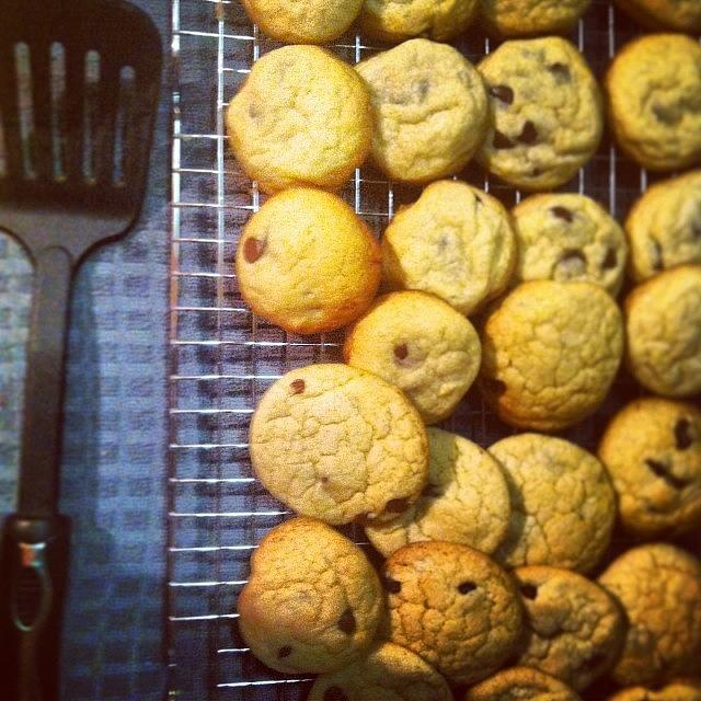 Mrs Fields Cookies! Stole That Recipe! Photograph by Kelly Yoell