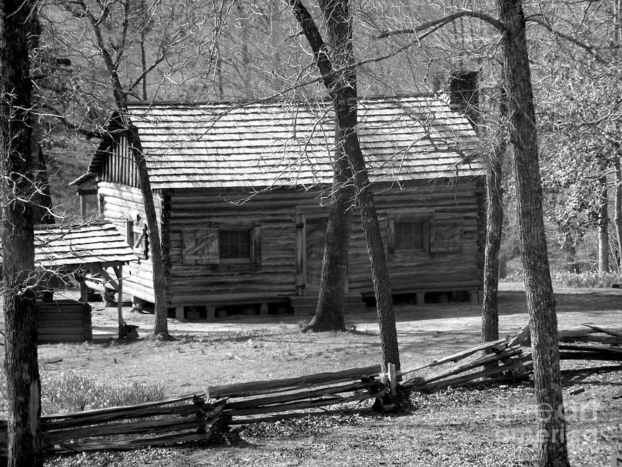 Mrs Lees Cabin Photograph by Kathy  White