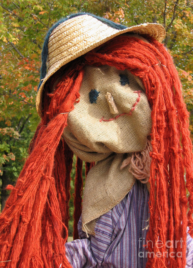 Ms Scarecrow Photograph by Ann Horn