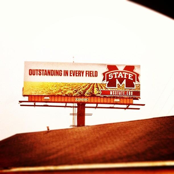 Hailstate Photograph - Msu Marketing Makes My Day Again!! by Callie Collins