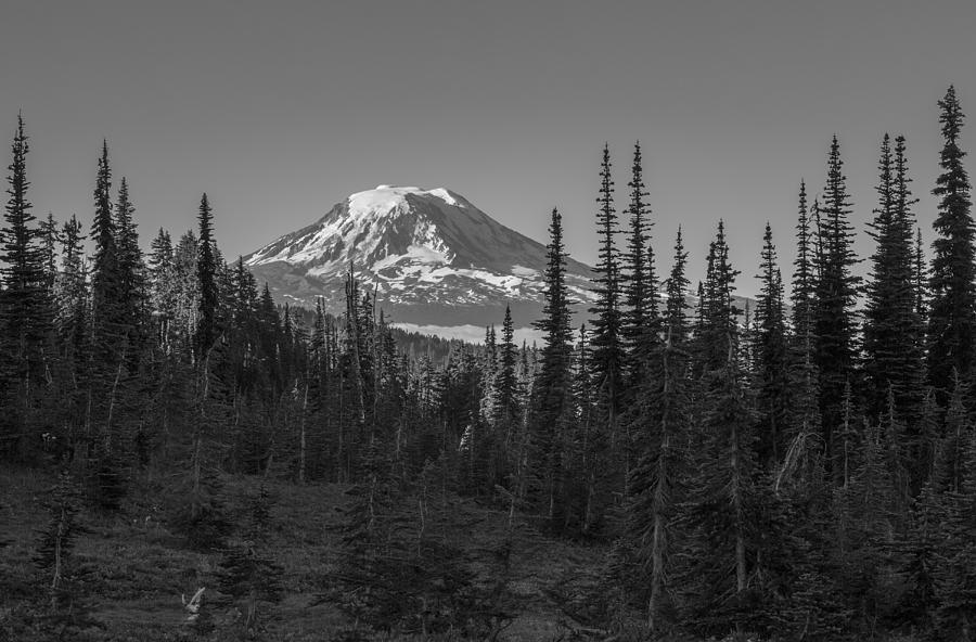 Mt Adams Photograph by Ross Murphy - Pixels