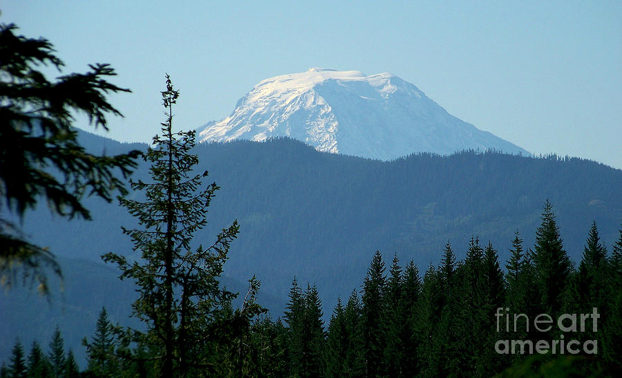 Mt Adams from Box Canyon Photograph by Charles Robinson