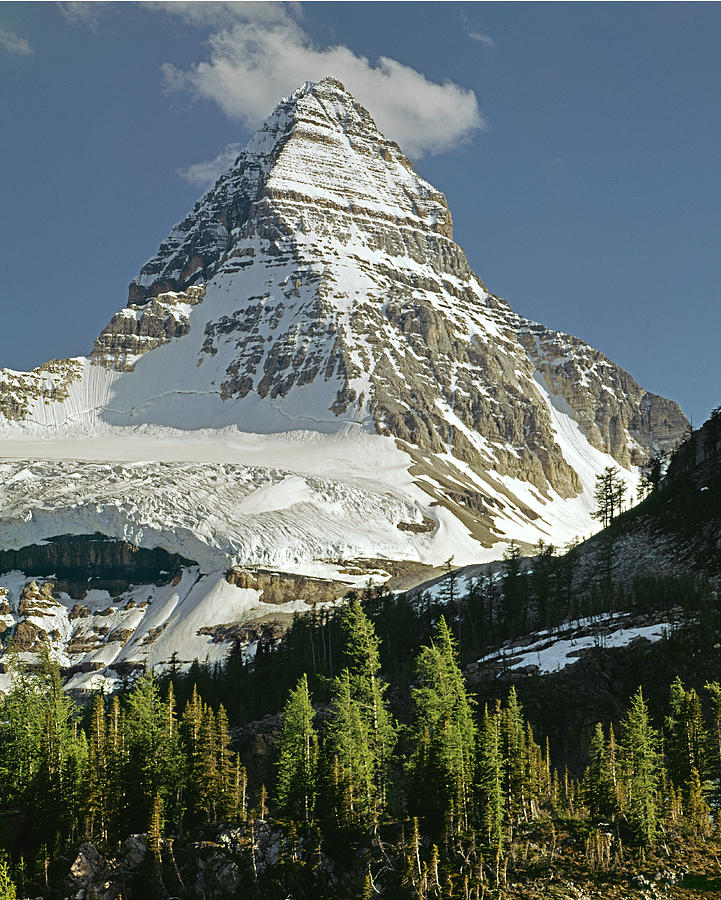 103460-Mt. Assiniboine Photograph by Ed  Cooper Photography