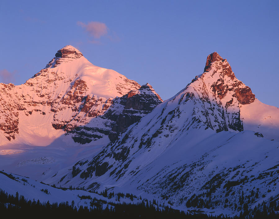 1M3738-Mt. Athabasca and Hilda Peak Photograph by Ed  Cooper Photography