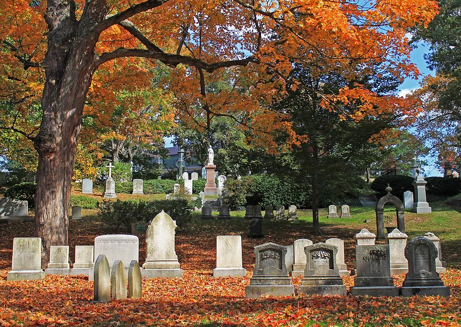 Mt Auburn Cemetery 12 Photograph by Michael Saunders