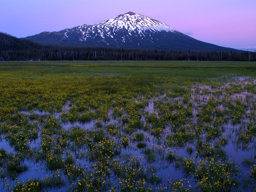 Mount Bachelor Spring Twilight Photograph by Kevin Desrosiers