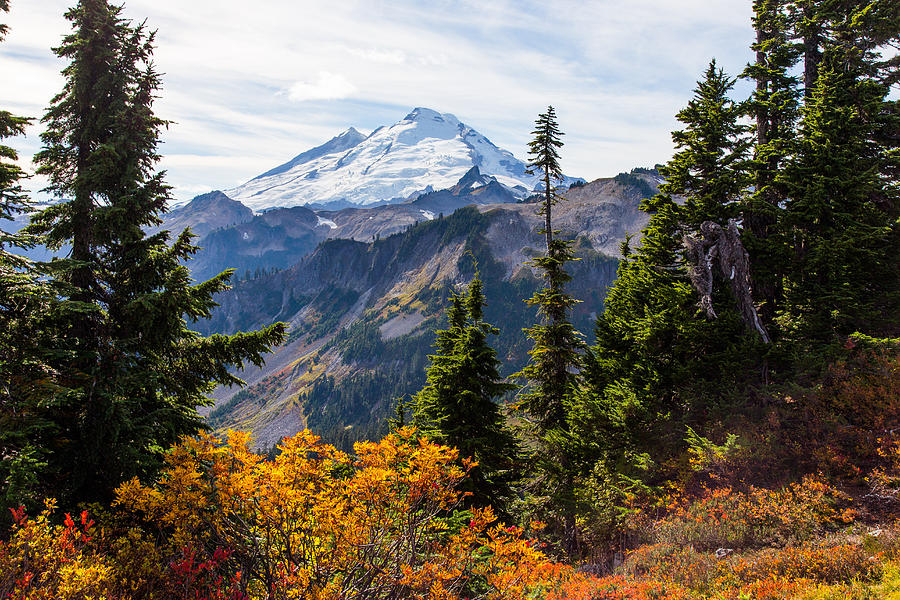 Mt Baker Autumn 21 Photograph by Howard Frisk