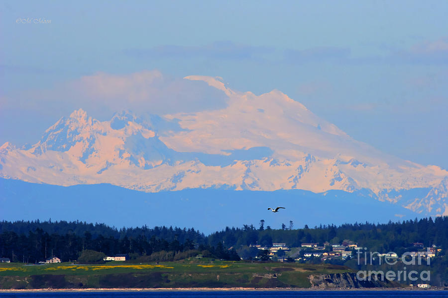 Mt. Baker Of Pacific Northwest Photograph