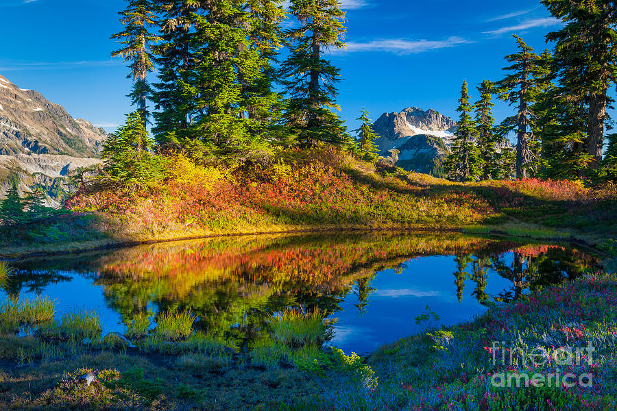 Fall Photograph - Mt Baker Tarn in Fall by Inge Johnsson