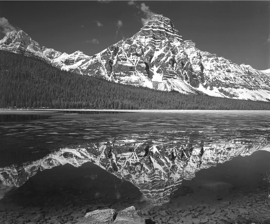 1M3641-BW-Mt. Chephren Reflect  Photograph by Ed  Cooper Photography