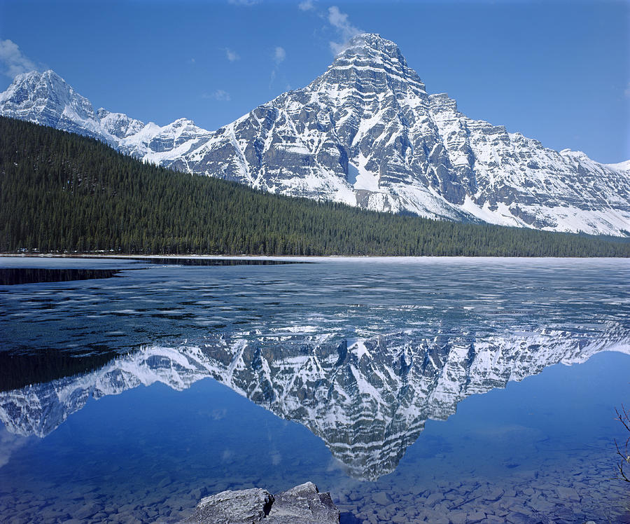 1M3641-Mt. Chephren Reflect Photograph by Ed  Cooper Photography