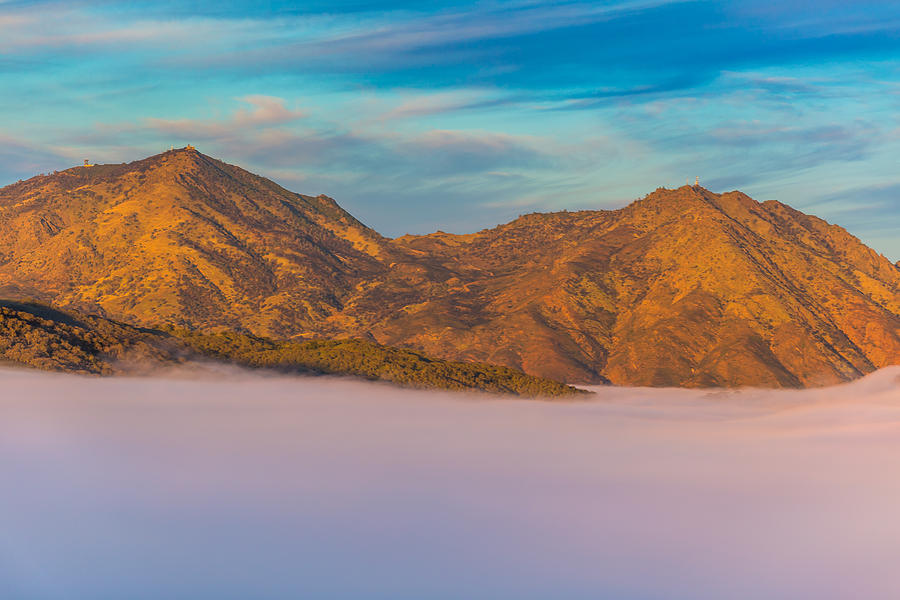 Mt Diablo Above Fog at Sunrise Photograph by Marc Crumpler