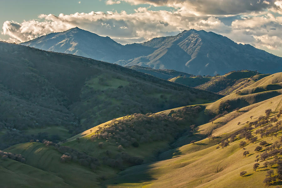 Tree Photograph - Mt Diablo And Afternoon Shadows by Marc Crumpler