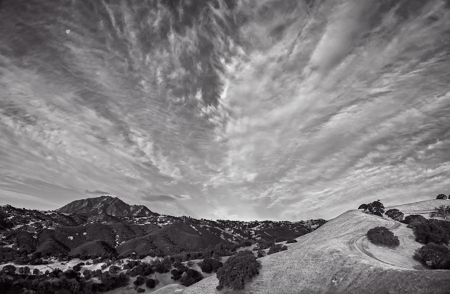 Mt Diablo And Ridge Trail Photograph by Marc Crumpler