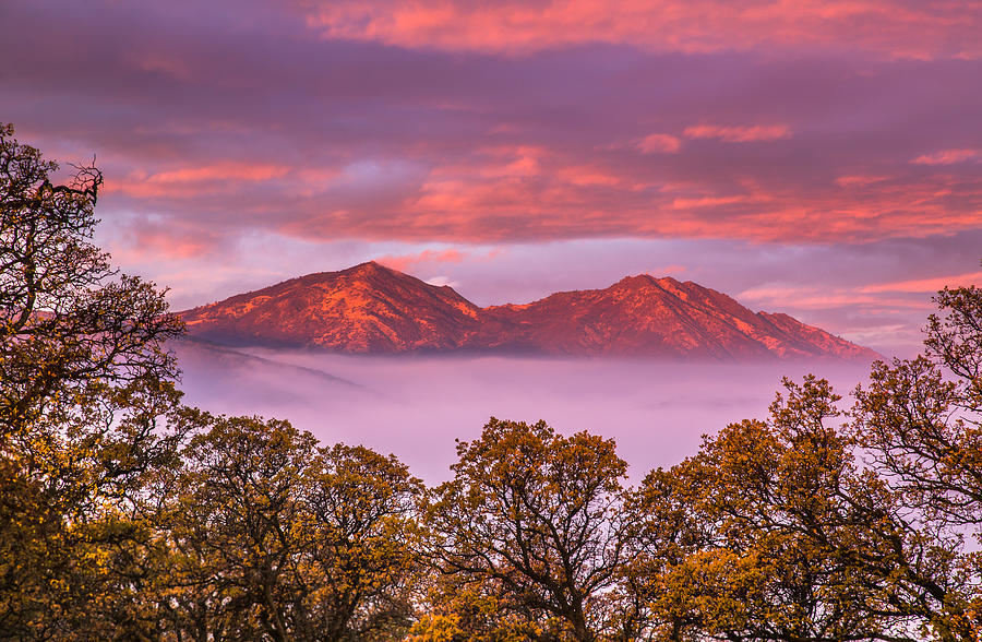 Mt Diablo in the early morning light Photograph by Marc Crumpler