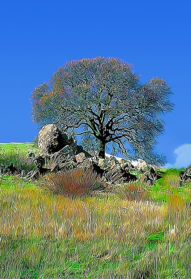 Mt. Diablo Oak Tree Digital Art by Wernher Krutein