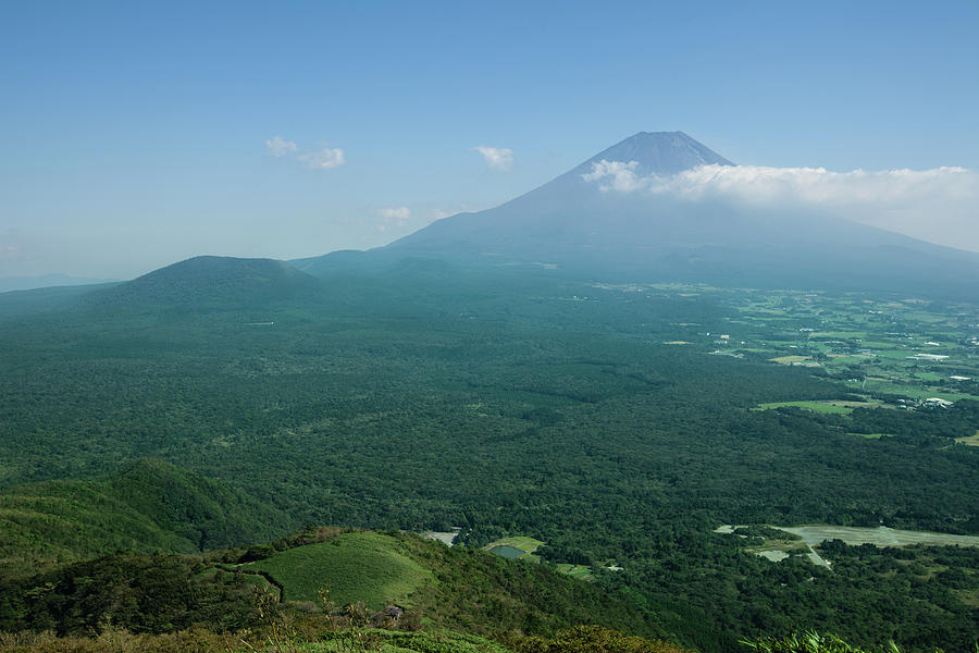 Mt. Fuji And Aokigahara Forest From Photograph by Ippei Naoi