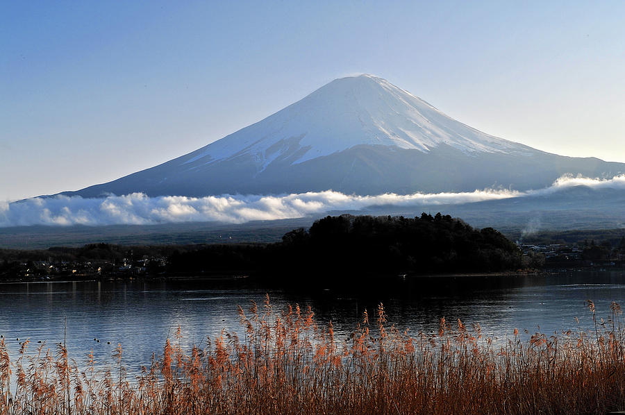 Mt. Fuji Photograph by Bunya541