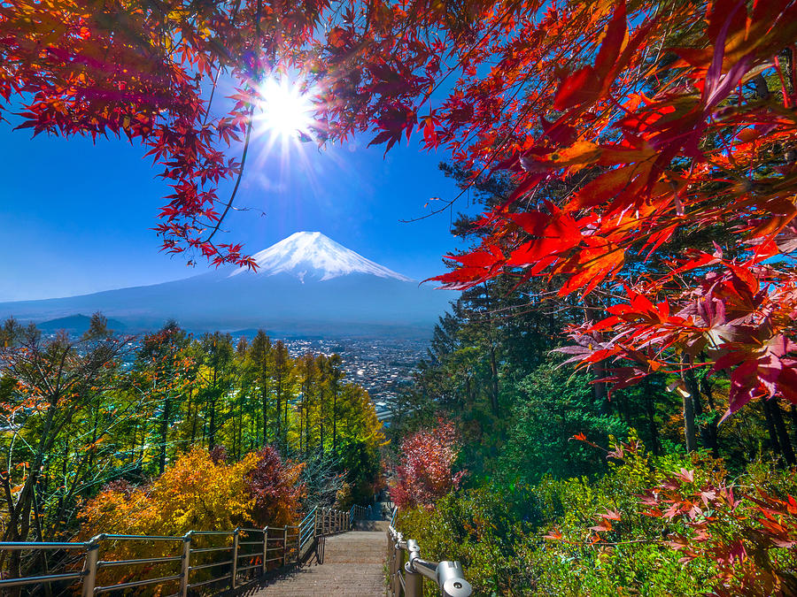 Mt. Fuji in autumn Photograph by Mantaphoto