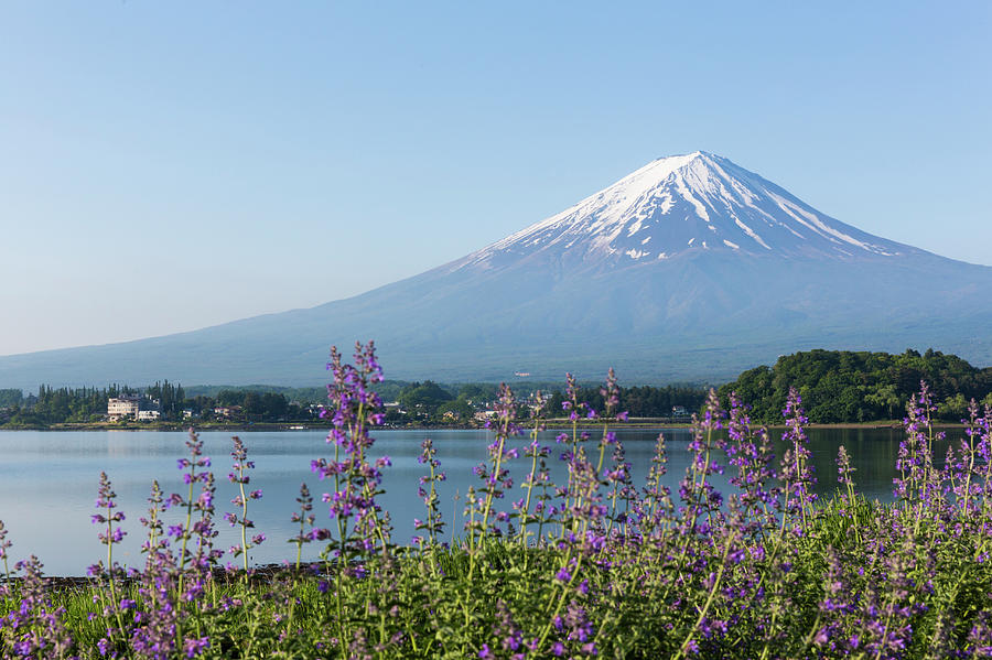 Mt. Fuji, Kawaguchiko, Japan Photograph by Ultra.f
