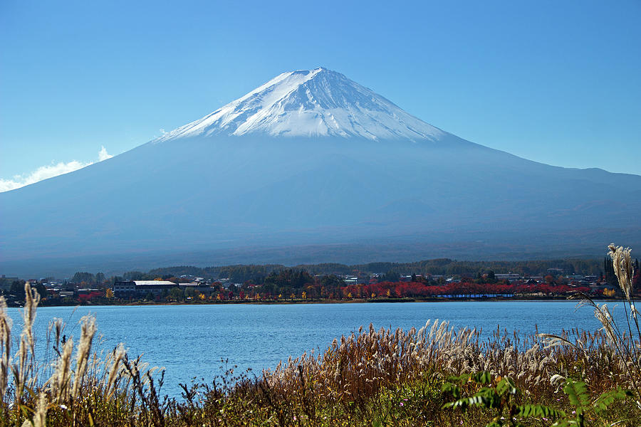 Mt. Fuji Lake Kawaguchi And Fall Grass Photograph by Lisa Lyons - Moments In Time